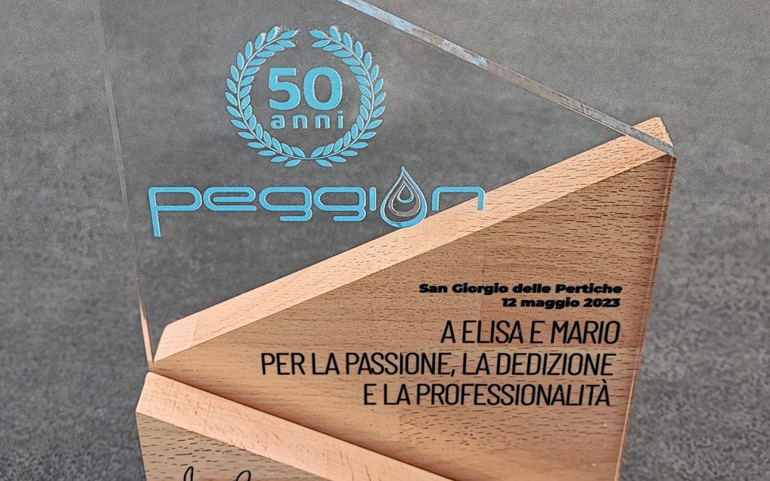 Targa premio in plexiglass e legno.